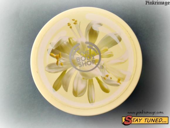 Read more about the article The Body Shop Moringa Body Butter-Review