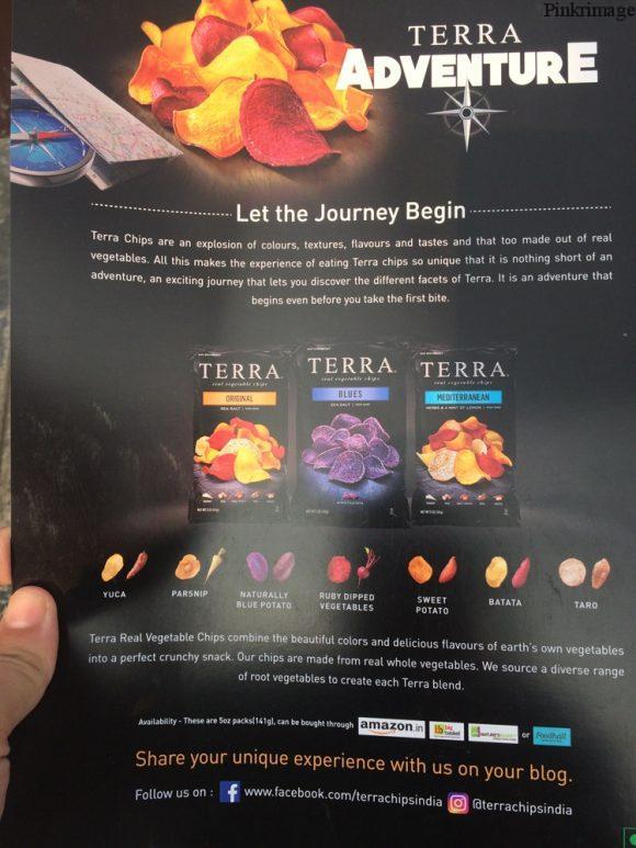 terra-chips-review-6