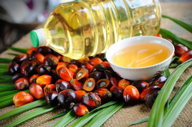 Benefits of Palm Oil